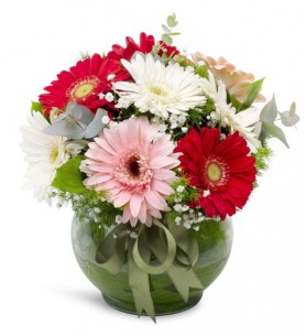 Cam Fanus Rengarenk Gerbera Aranjmanı